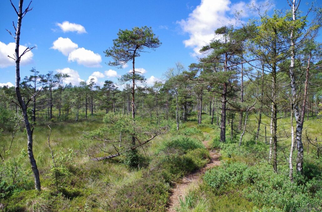 Vandreture i Sydsverige — 10 smukke ruter for alle niveauer 10 Skåneleden - Vandrerute i Sydsverige - SL2 Nord till syd - 10 Hörby Ringsjöstrand-Rövarekulan