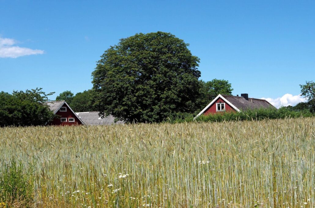 Vandreture i Sydsverige — 10 smukke ruter for alle niveauer 17 Skåneleden - Vandrerute i Sydsverige - SL5 Öresund - 6 Domsten - Helsingborg-Sofiero