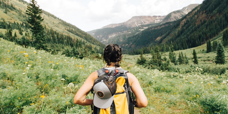 Find alt til backpacking