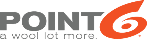 Point6 logo