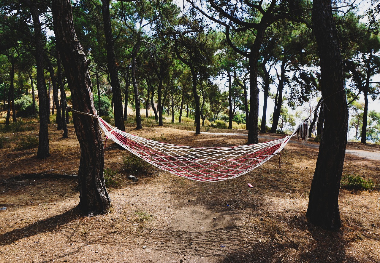 Guide til hængekøjer — sådan vælger du den rigtige til outdoor i 2026 10 Hængekøje ophængt mellem træer i skov — outdoor camping setup