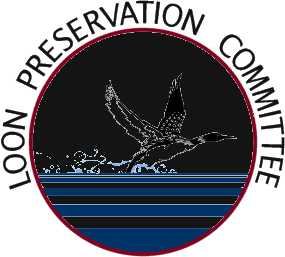 Loon logo