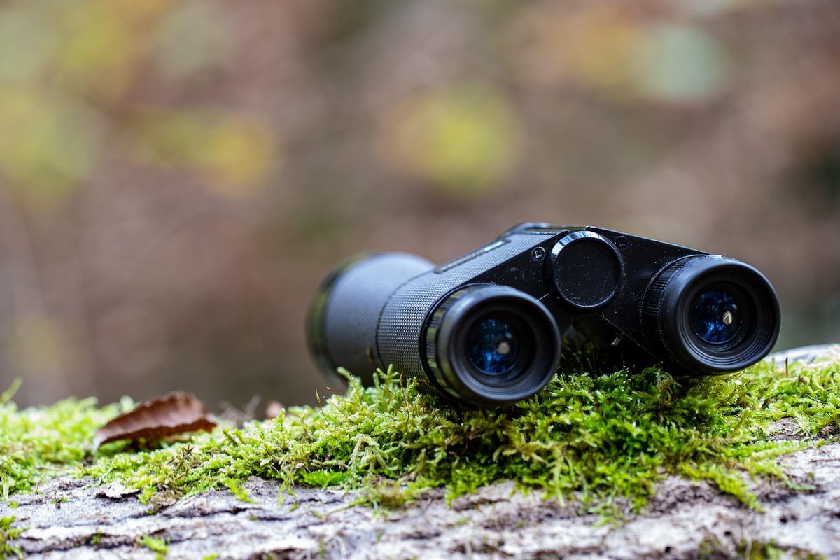 Jæger med 8x42 jagtkikkert i skovbryn ved solnedgang